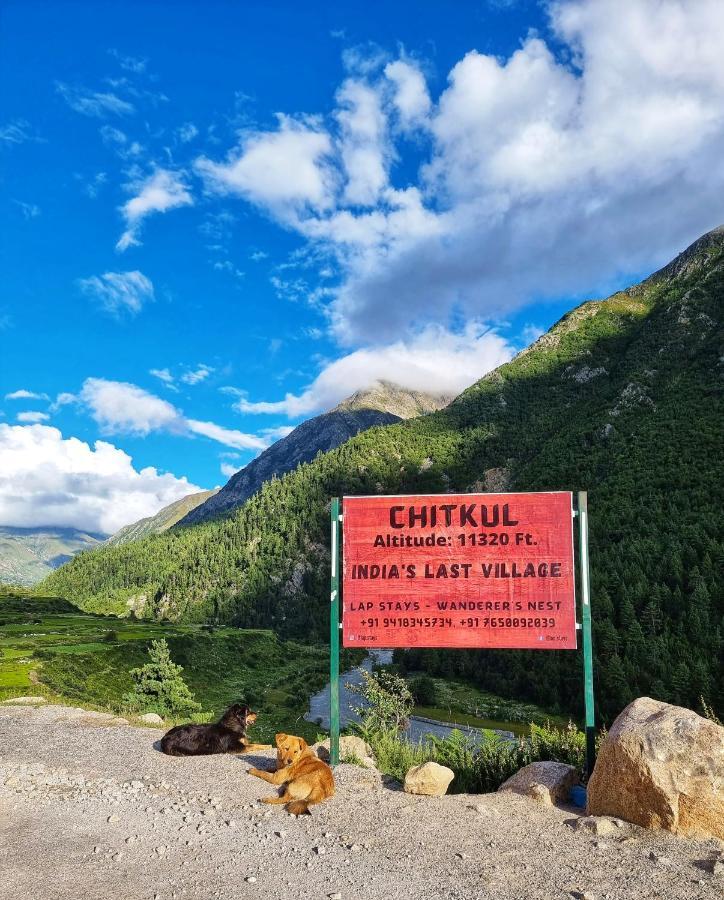 LAP Stays - Wanderer's Nest Chitkul Eksteriør billede