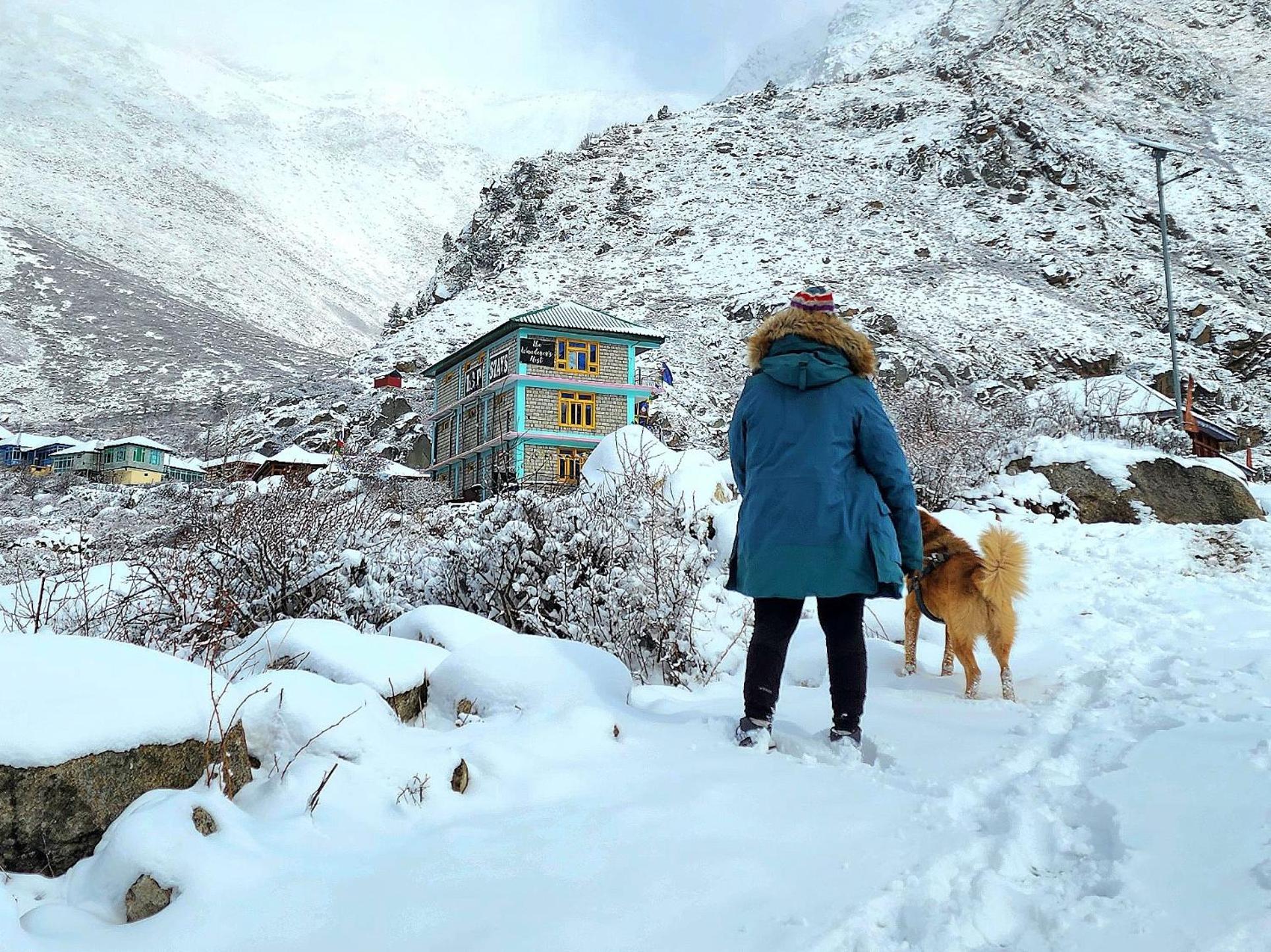 LAP Stays - Wanderer's Nest Chitkul Eksteriør billede